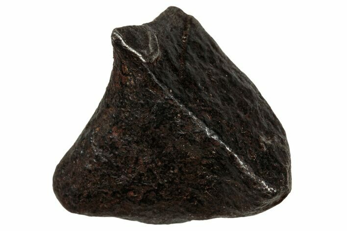 Gibeon Iron Meteorite ( g) - Namibia #334711